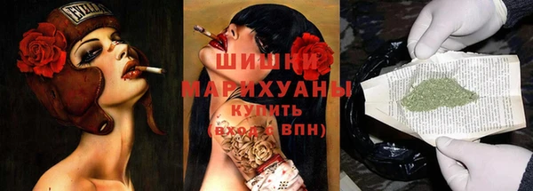 сатива Алексин