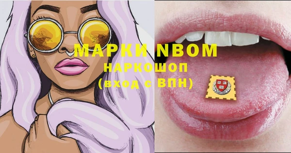 ПСИЛОЦИБИНОВЫЕ ГРИБЫ Инсар