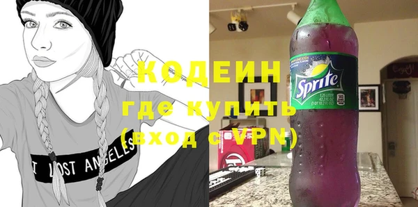 шишки Инта