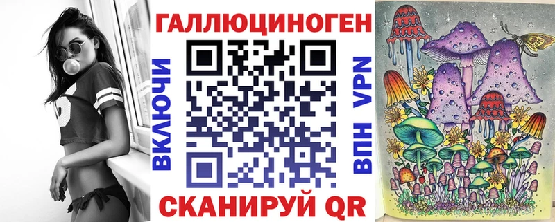 Псилоцибиновые грибы Psilocybine cubensis  Снежногорск 